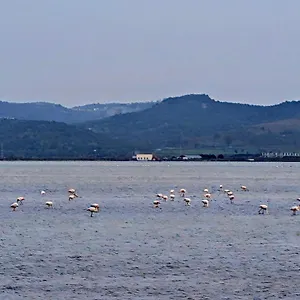 Hostel Adriatic, Vlorë